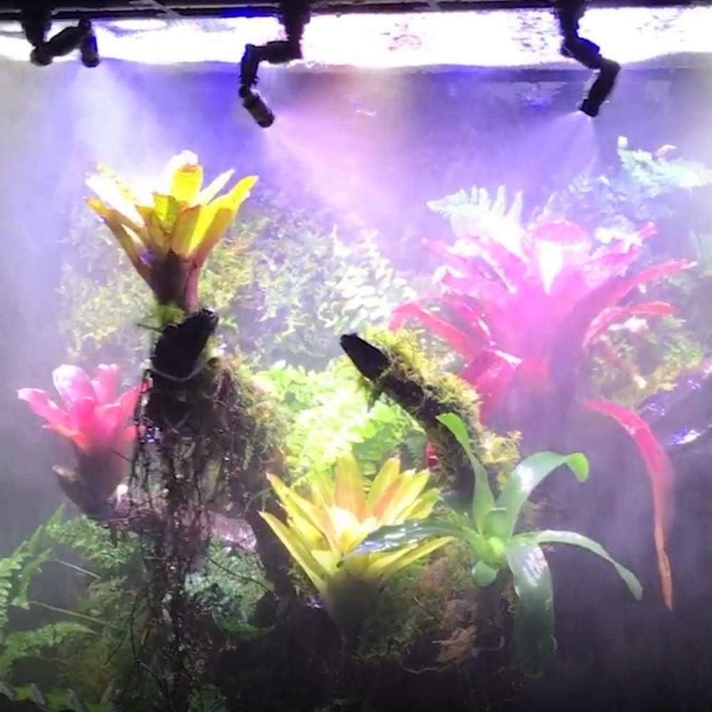 Misting Nozzle Reptile - PP Reptile Siyah Sisleyici 360 °