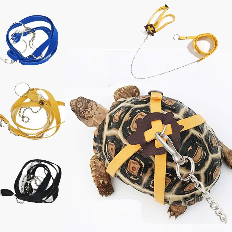 Water Dish Reptile - Kaplumbağa Çekiş Kemeri Kontrol İpi Eğitim