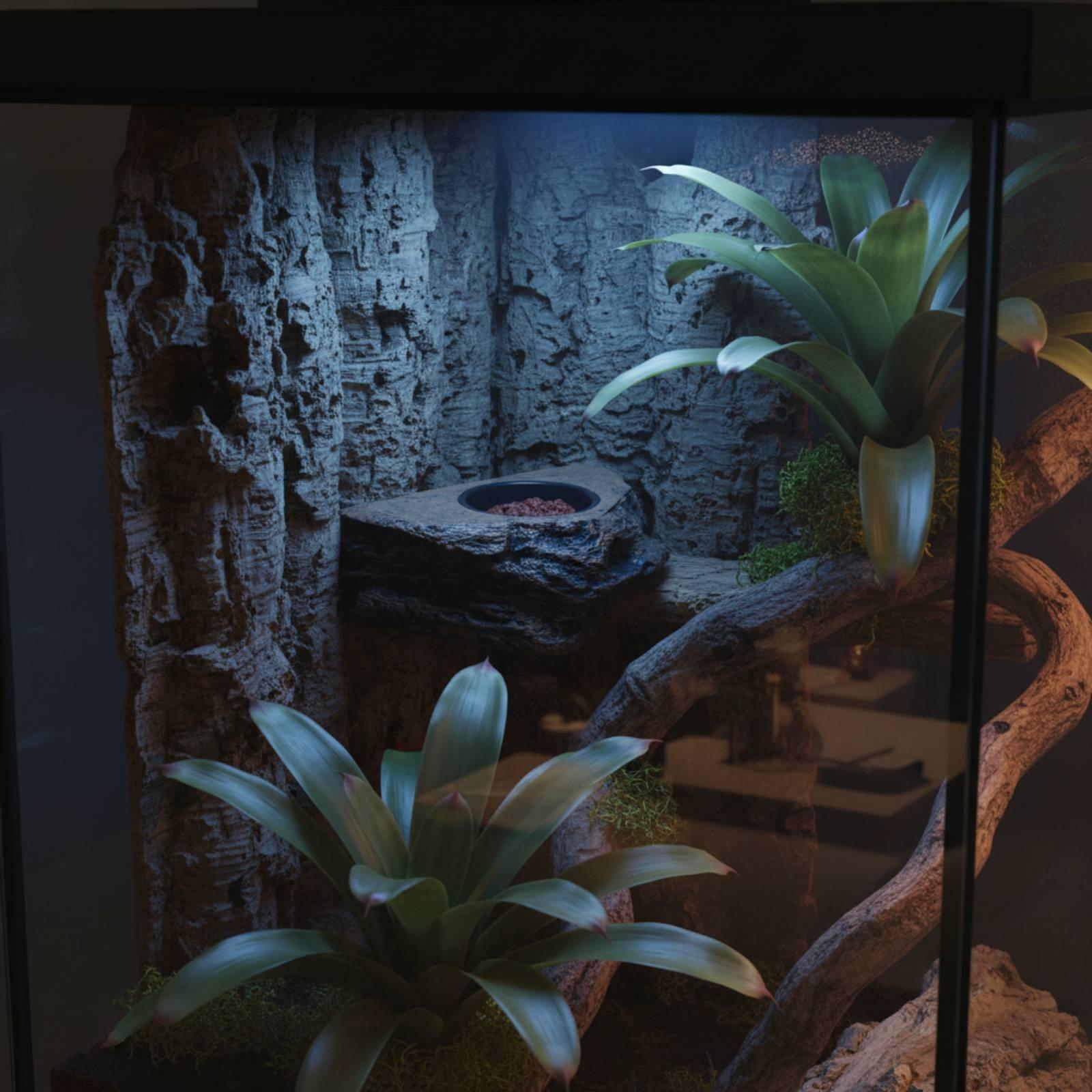 Water Dish Reptile - Gecko Mama ve Su Rafı Ayarlanabilir