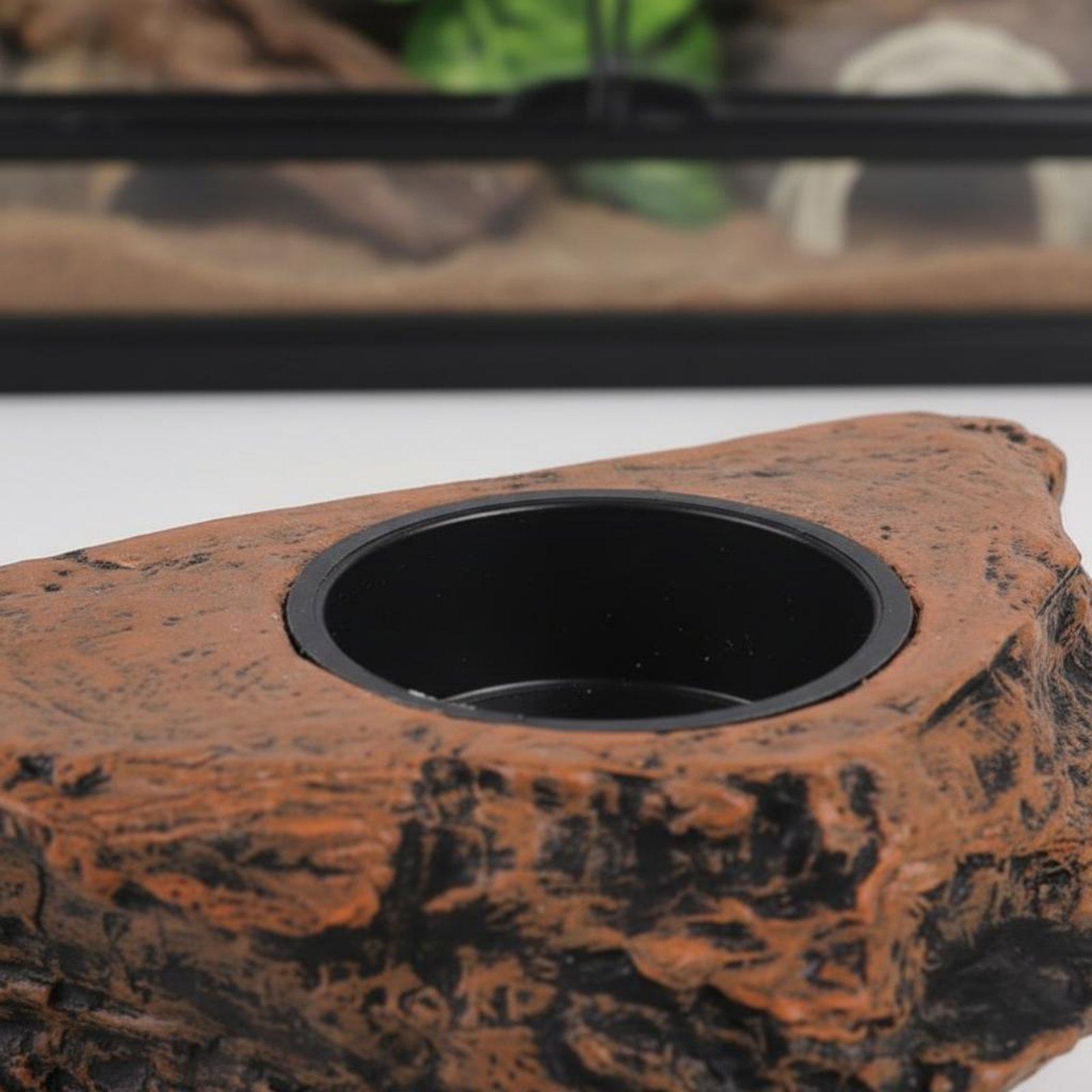 Gecko Mama ve Su Rafı Ayarlana - Water Dish Reptile incelemesi ve fiyatı