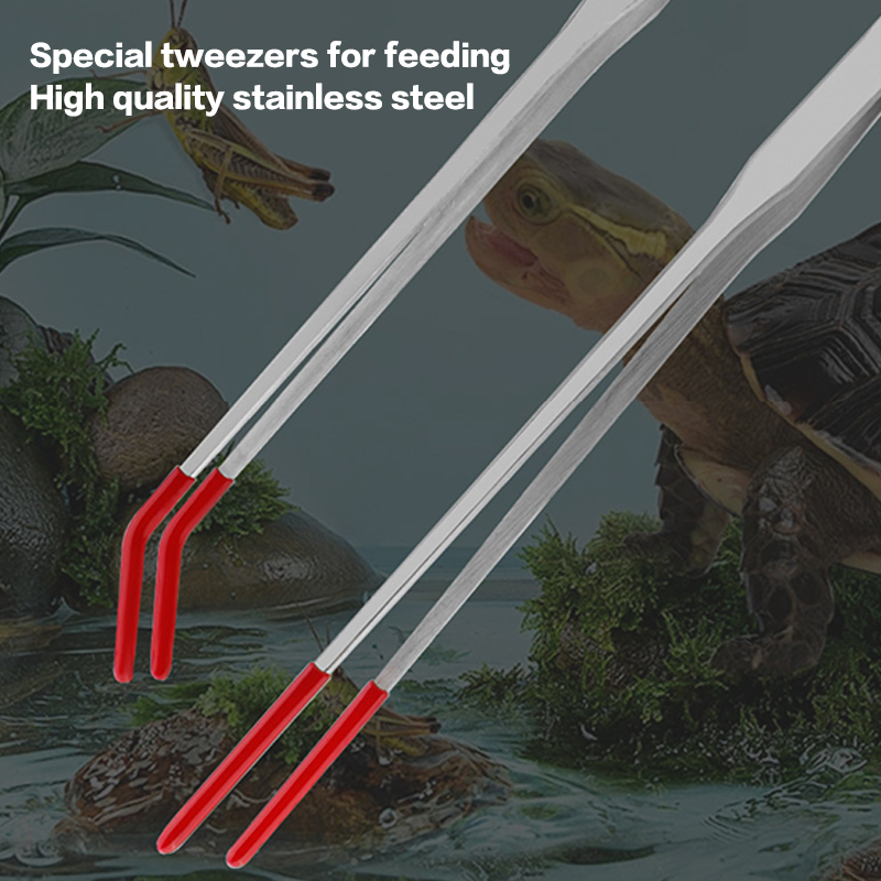 Paslanmaz Çelik Sürüngen Besle - Feeding Tong Stainless incelemesi ve fiyatı